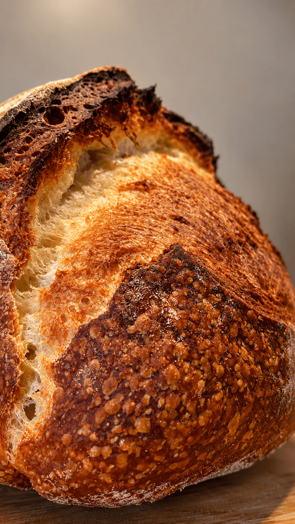 pane-di-altamura-dettaglio-crosta-2