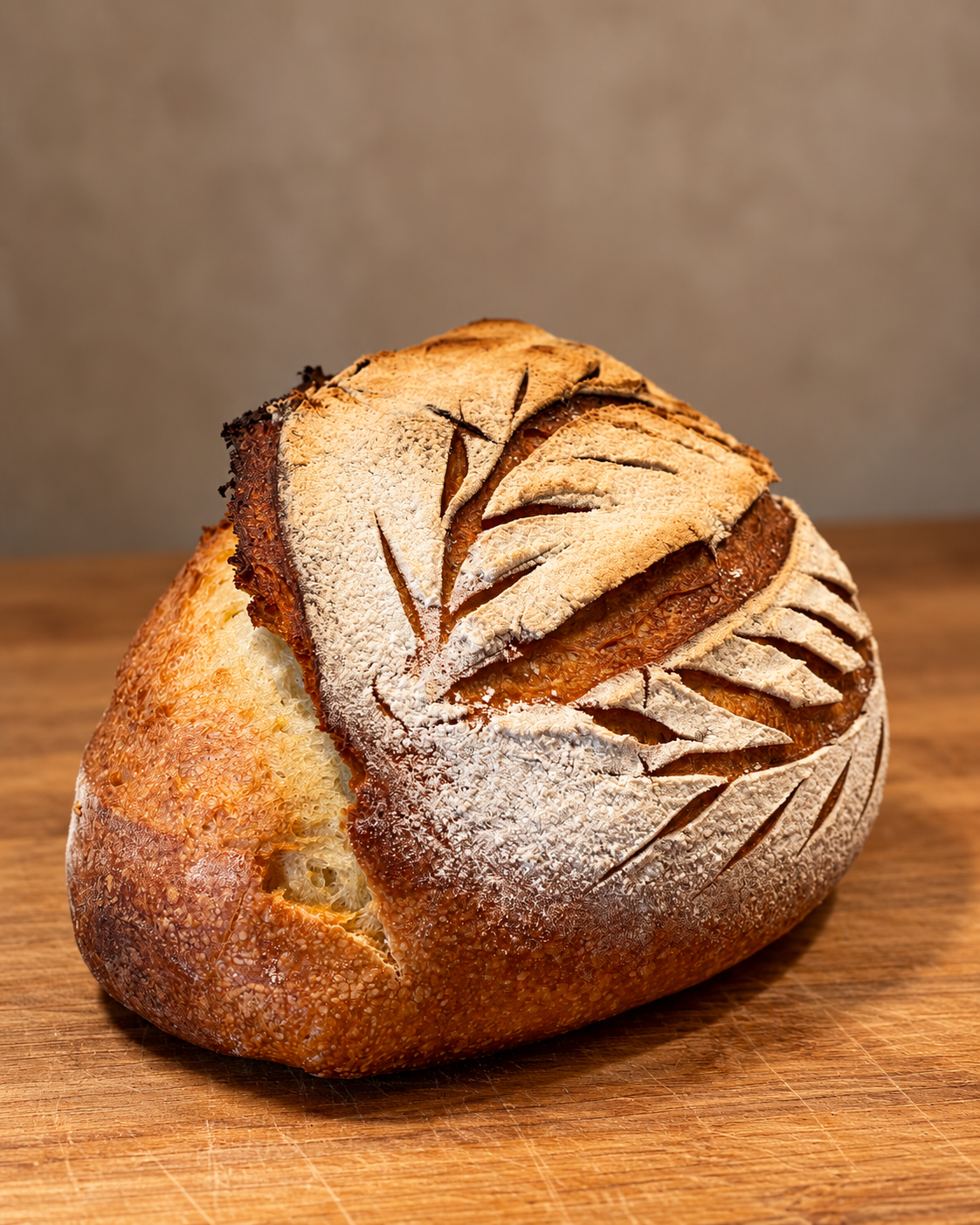 pane-di-altamura-frontale