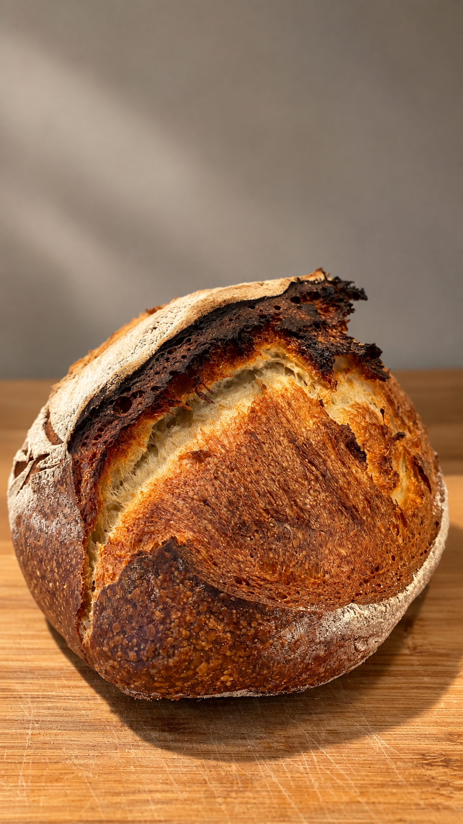pane-di-altamura-dall-alto